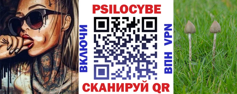 магазин продажи наркотиков  Голицыно  Псилоцибиновые грибы Psilocybine cubensis 